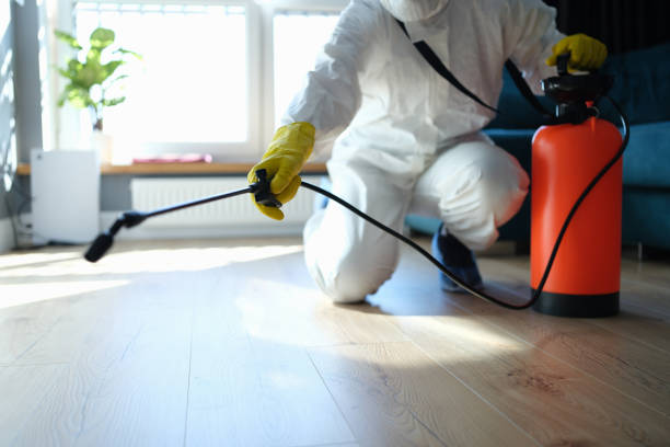 Reliable Odor Removal contractor in Dublin, TX by Trauma Clean Pros